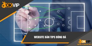 website bán tips bóng đá