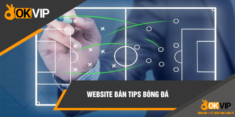 website bán tips bóng đá